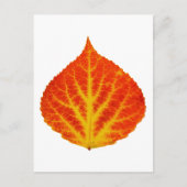 Rood en geel esperen Leaf #10 Briefkaart (Voorkant)