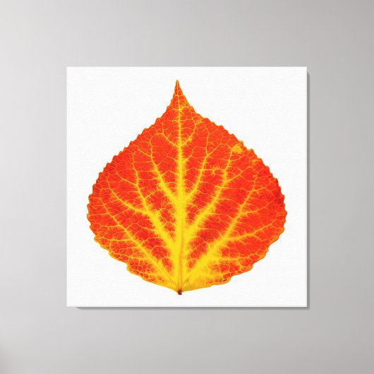 Rood en geel esperen Leaf #10 Canvas Afdruk (Voorkant)