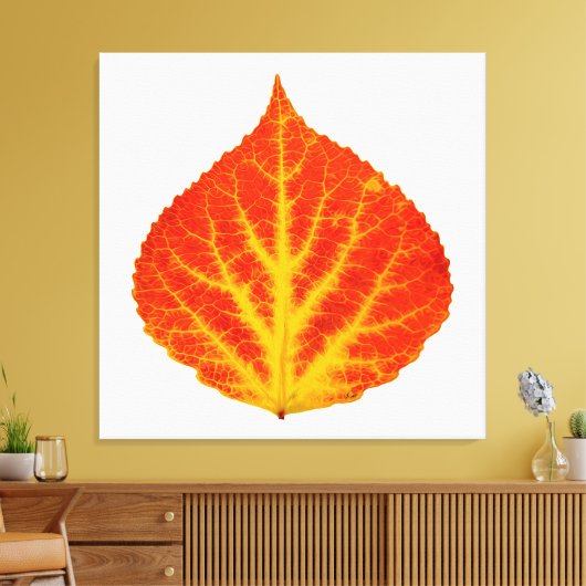 Rood en geel esperen Leaf #10 Canvas Afdruk (Insitu (Woonkamer))