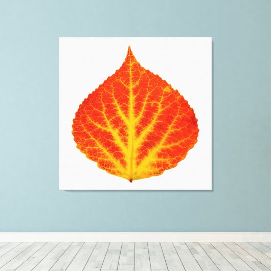 Rood en geel esperen Leaf #10 Canvas Afdruk (Insitu (Houten vloer))