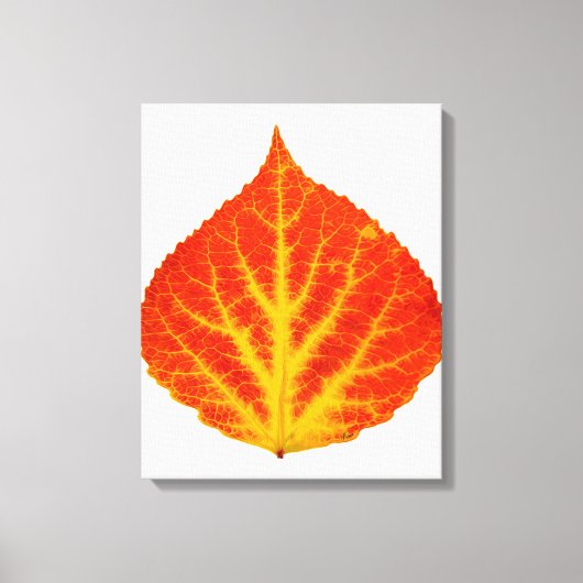 Rood en geel esperen Leaf #10 Canvas Afdruk (Voorkant)