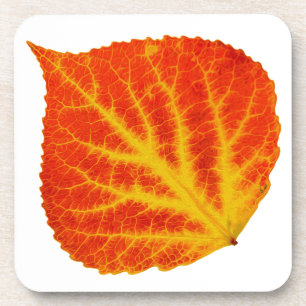 Rood en geel esperen Leaf #10 Drankjes Onderzetter