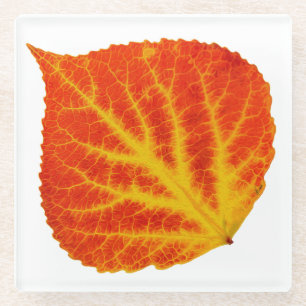 Rood en geel esperen Leaf #10 Glazen Onderzetter