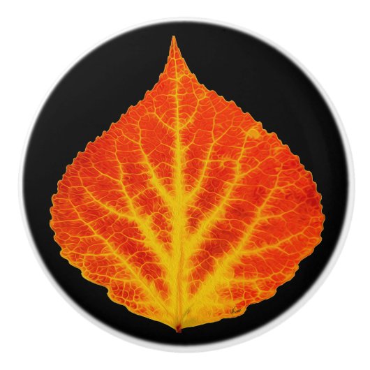 Rood en geel esperen Leaf #10 Keramische Knop (Voorkant)