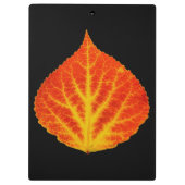Rood en geel esperen Leaf #10 Klembord (Achterkant)