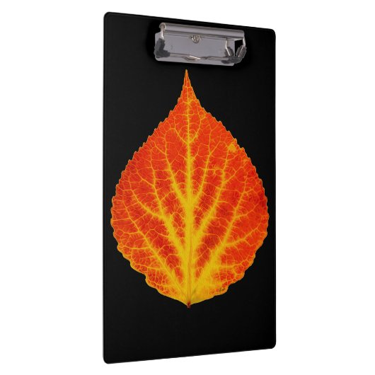 Rood en geel esperen Leaf #10 Klembord (Rechts)