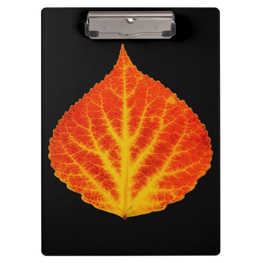 Rood en geel esperen Leaf #10 Klembord (Voorkant)