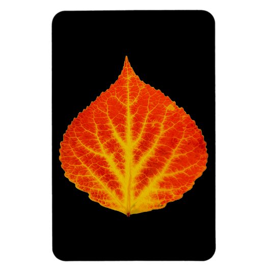 Rood en geel esperen Leaf #10 Magneet (Verticaal)