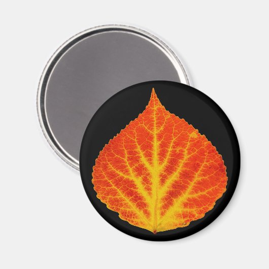 Rood en geel esperen Leaf #10 Magneet (Voorkant / Achterkant)