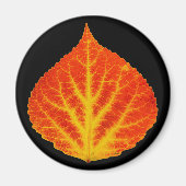Rood en geel esperen Leaf #10 Magneet (Voorkant)