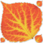 Rood en geel esperen Leaf #10 Sticker (Voorkant)