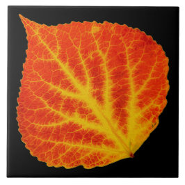 Rood en geel esperen Leaf #10 Tegeltje