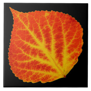 Rood en geel esperen Leaf #10 Tegeltje