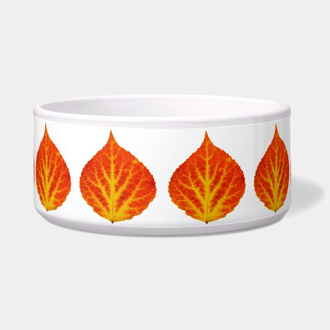 Rood en geel esperen Leaf #10 Voerbakje (Voorkant)