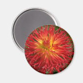 Rood en Geel Gek Dahlia Meerdere items Magneet (Voorkant / Achterkant)