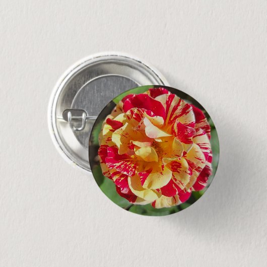 Rood en Geel Gevariëerd Rozen Button (Voorkant /achterkant)