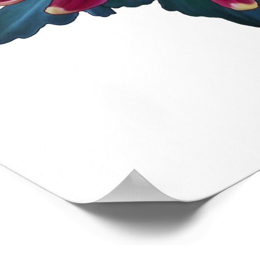 rood en geel Japans chrysanthemum wit Poster (Hoek)