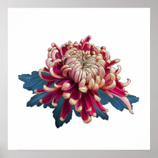 rood en geel Japans chrysanthemum wit Poster