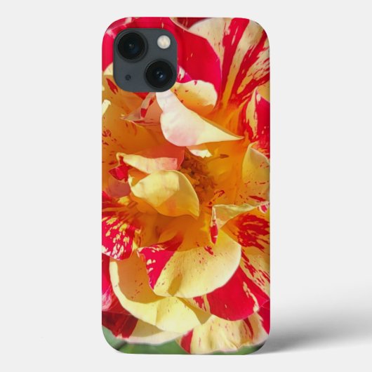 Rood en Geel Rose Hoesje-Mate Telefoon Case (Achterkant)