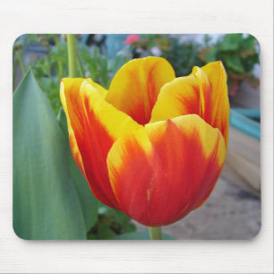 Rood en geel Tulp floral Garden Foto Muismat