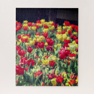 Rood en Geel Tulpengebied Legpuzzel