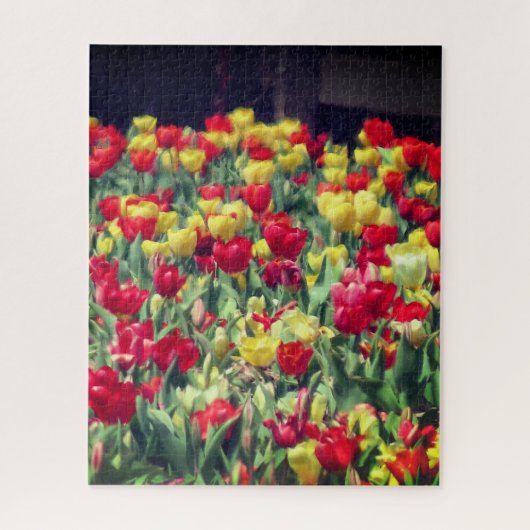 Rood en Geel Tulpengebied Legpuzzel (Verticaal)