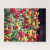 Rood en Geel Tulpengebied Legpuzzel (Horizontaal)