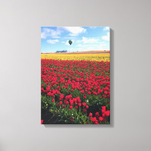Rood en geel Tulpveld met luchtballon Canvas Afdruk