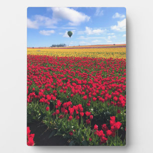 Rood en geel Tulpveld met luchtballon Fotoplaat