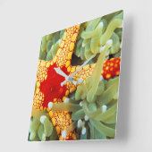 Rood en geel Zee Star Vierkante Klok (Hoek)