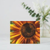 Rood en geel Zonnebloem Briefkaart (Staand voorkant)