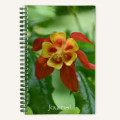 Rood- en gele bicolorColumbinebloemen Notitieboek (Voorkant)