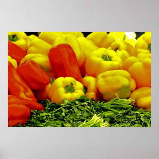 Rood- en gele galbultrupers poster (Voorkant)