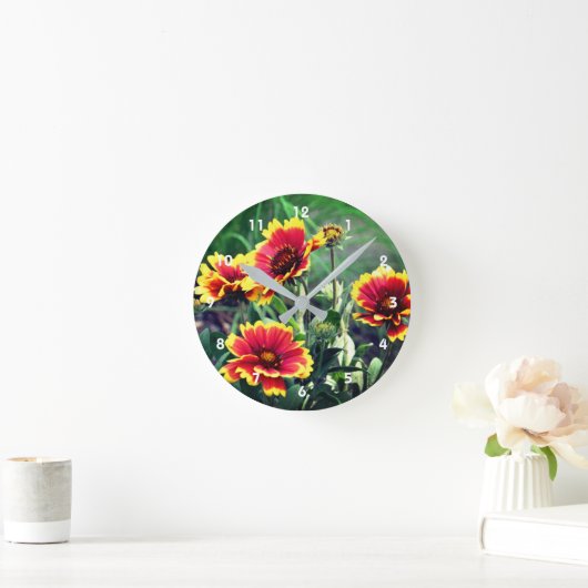 Rood- en gele maagblaasbloem  ronde klok (Huis)