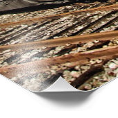 Rood- en gele-stoommotor locomotieven art foto afdruk (Hoek)