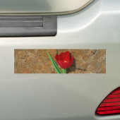 Rood- en gele Tulp Bumpersticker (Op auto)
