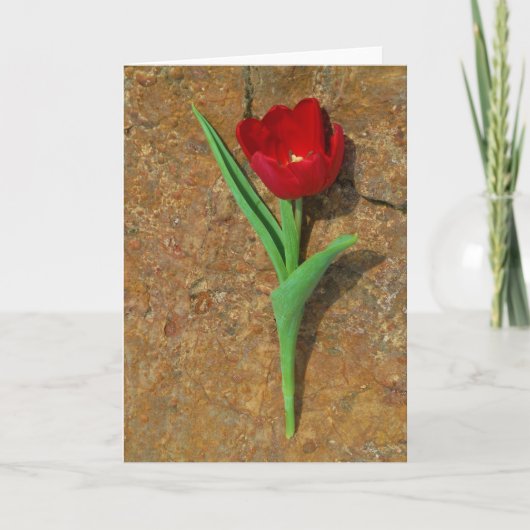 Rood- en gele Tulp Feestdagen Kaart (Voorkant)