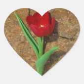 Rood- en gele Tulp Hart Sticker (Voorkant)