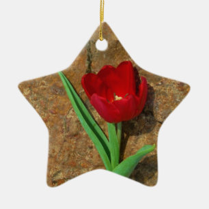 Rood- en gele Tulp Keramisch Ornament