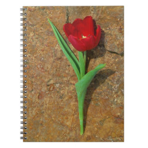 Rood- en gele Tulp Notitieboek