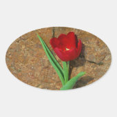 Rood- en gele Tulp Ovale Sticker (Voorkant)