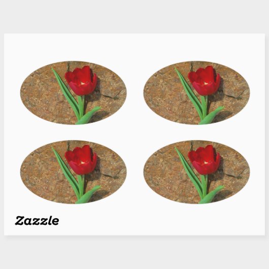 Rood- en gele Tulp Ovale Sticker (Vel)