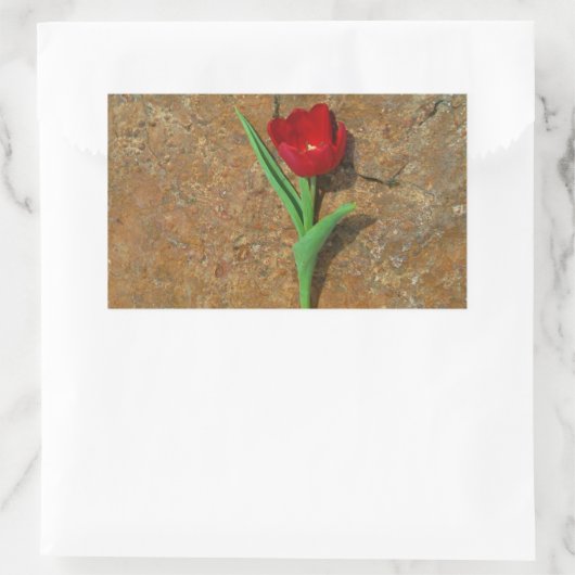 Rood- en gele Tulp Rechthoekige Sticker (Tas)