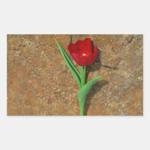 Rood- en gele Tulp Rechthoekige Sticker