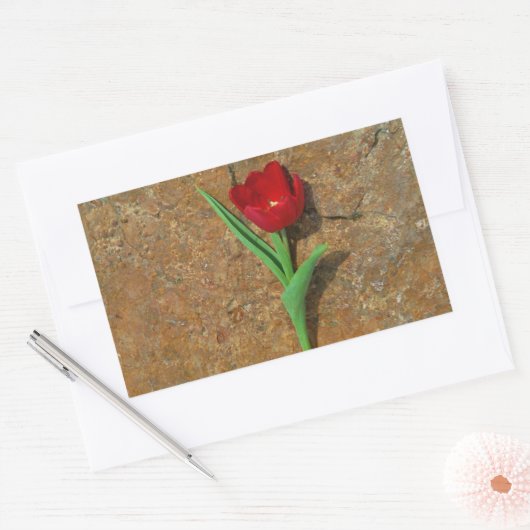 Rood- en gele Tulp Rechthoekige Sticker (Envelop)