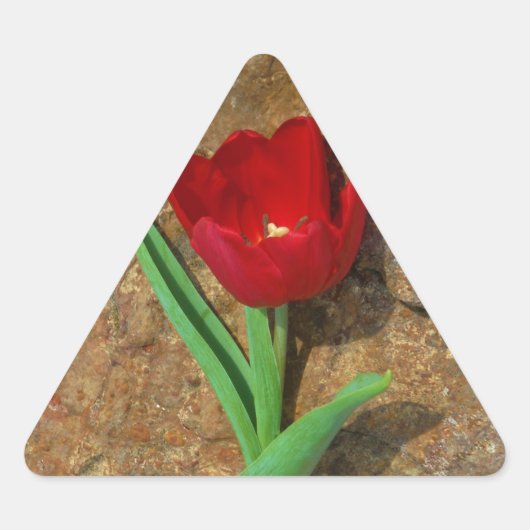 Rood- en gele Tulp Sticker (Voorkant)