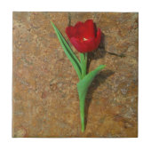 Rood- en gele Tulp Tegeltje (Voorkant)