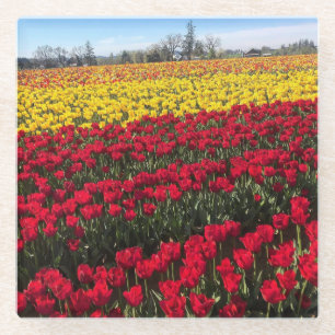 Rood- en gele Tulp-veld Glazen Onderzetter