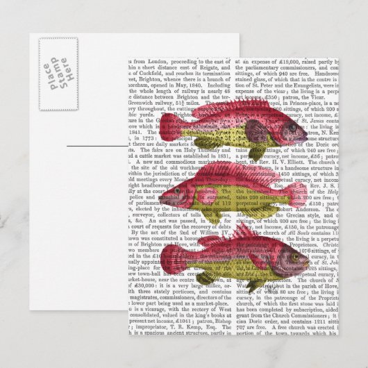 Rood- en gele vistrio briefkaart (Voorkant / Achterkant)
