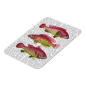 Rood- en gele vistrio magneet (Linkerzijde)